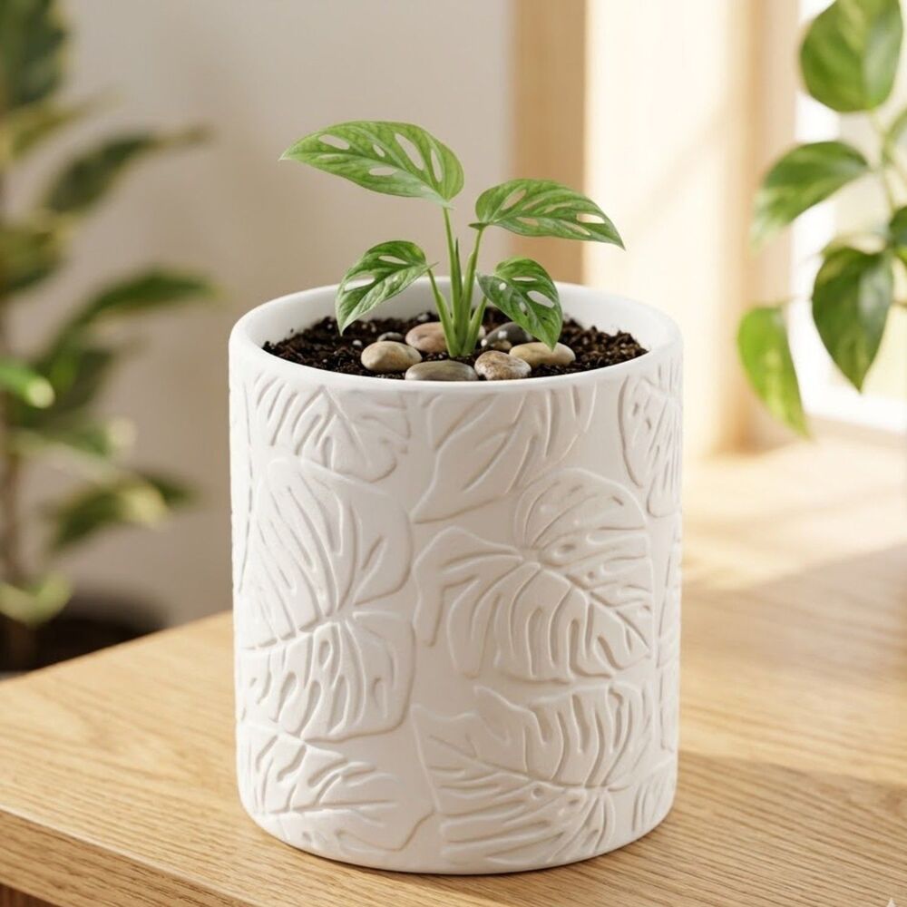White 5" Monstera Leaf Planter | Textured Customizable Succulent Pot | New